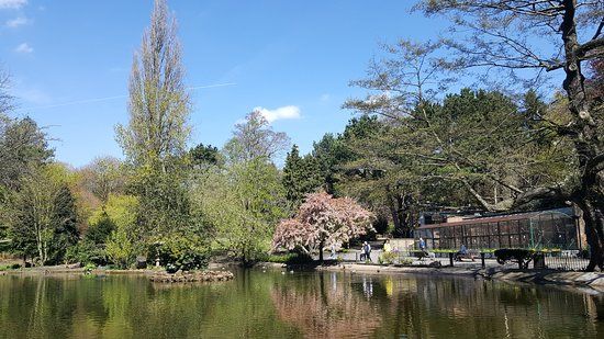 Nottingham Arboretum